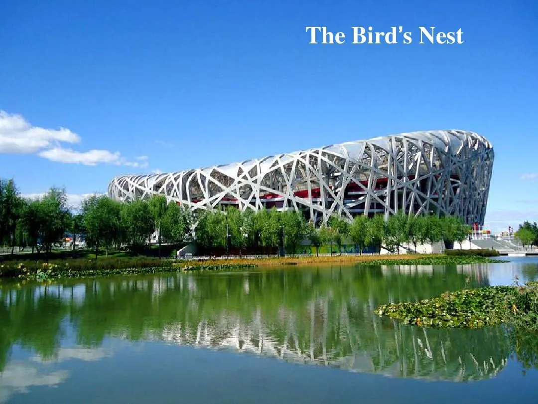 Bird's Nest