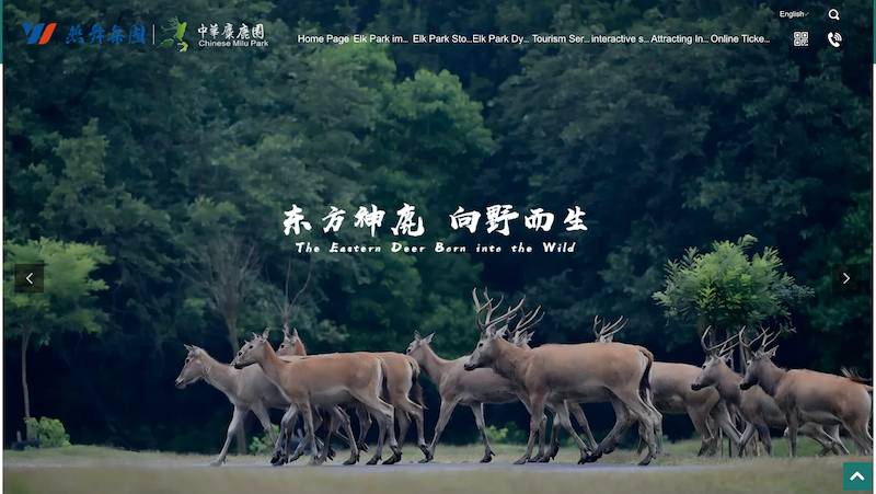 Chinese Milu Deer Park