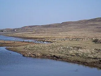 Dashanbao Black-necked Crane National Nature Reserve