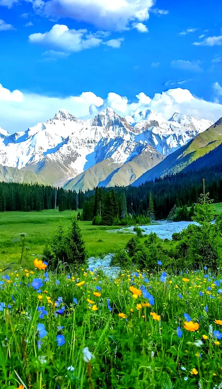 Nalati Grassland