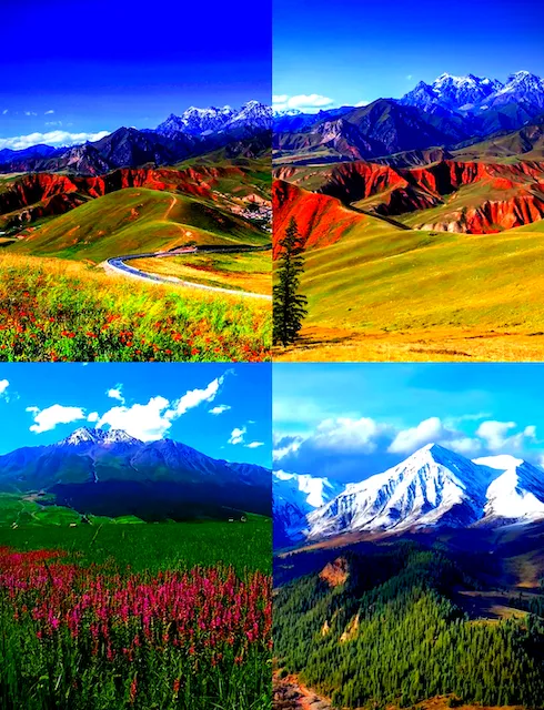 Qilian Mountain Grassland