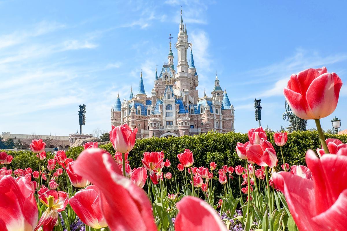Shanghai Disney Resort