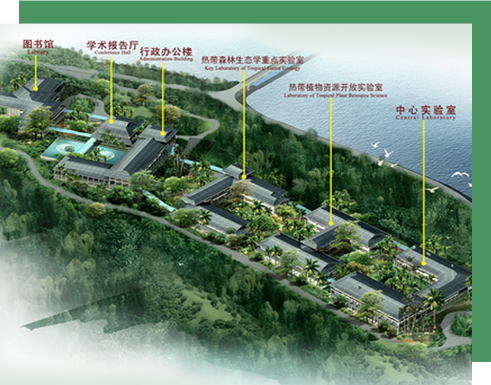 Tropical Botanical Garden